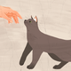 Ilustración: Chelsea Beck